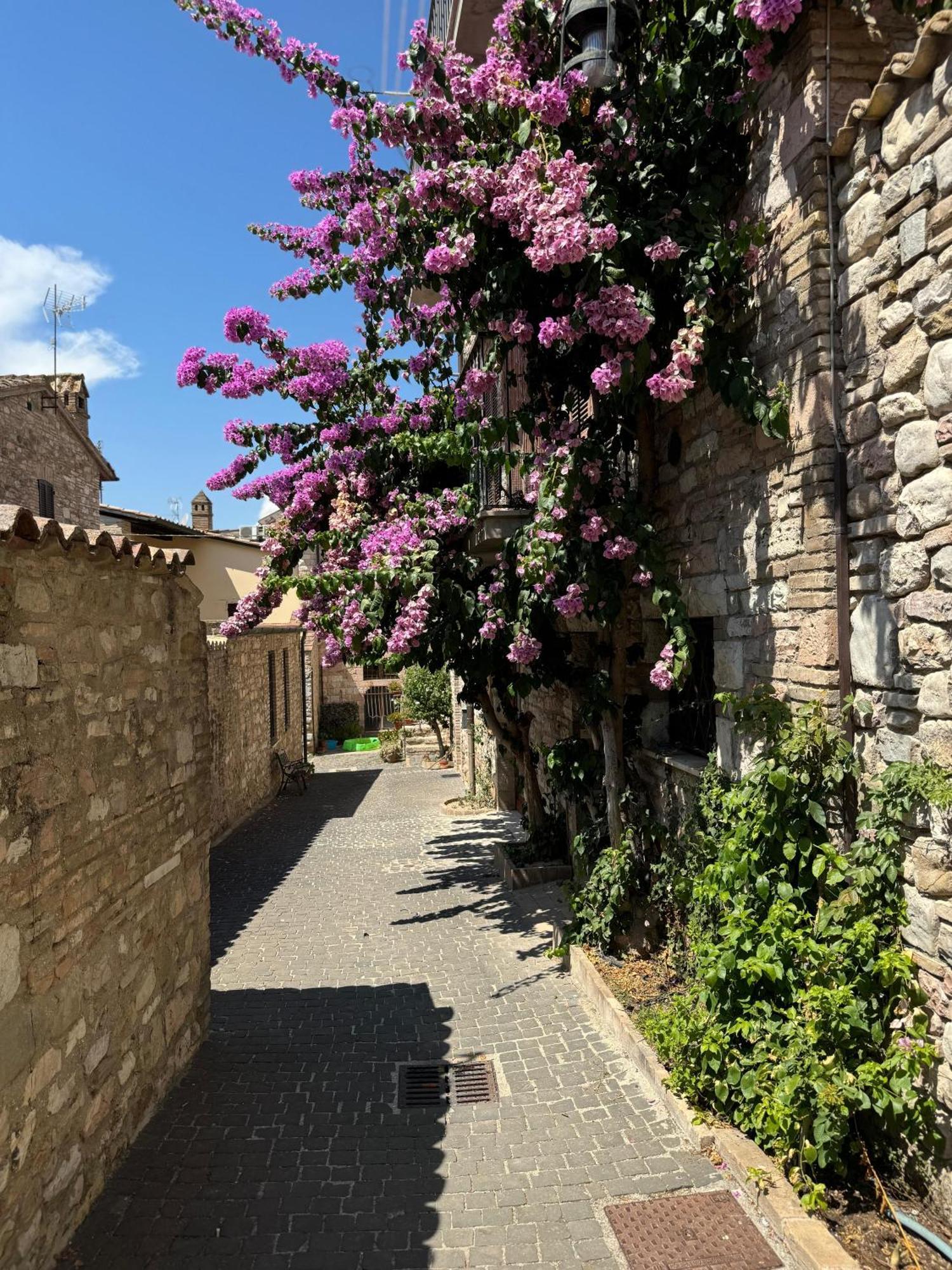 La Bouganville Assisi Bagian luar foto